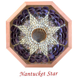Nantucket Star